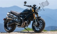 Tutte le parti originali e di ricambio per il tuo Ducati Scrambler 1100 Sport PRO USA 2020.